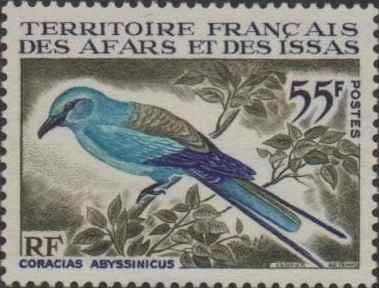 Abyssinian Roller (Coracias abyssinicus)