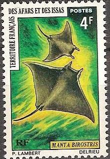 Giant Oceanic Manta Ray (Manta birostris)