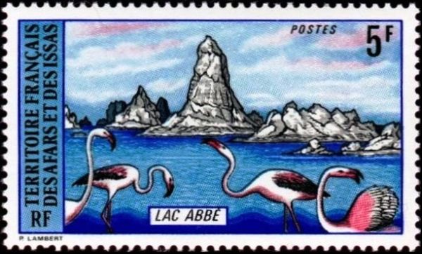 Lake Abbe, Flamingos in Water