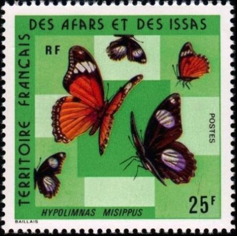 Danaid Eggfly (Hypolimnas misippus)
