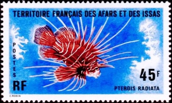 Clearfin Lionfish (Pterois radiata)