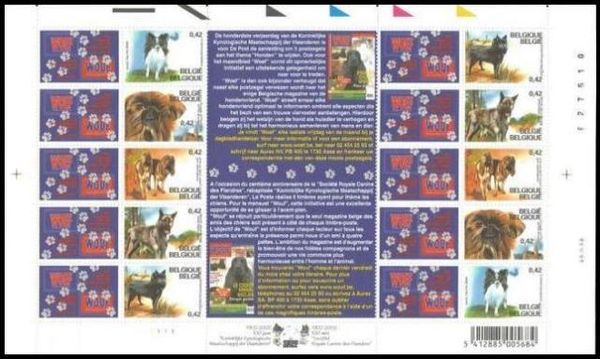 Belgian Breed Dogs