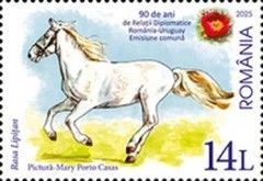 Lippizaner Horse, Romania