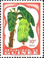 Bananas
