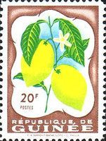 Lemon