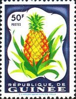 Pineapple