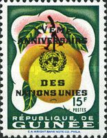 Grapefruit