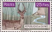 Western Reedbuck (Redunca redunca)