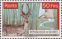 Western Reedbuck (Redunca redunca)