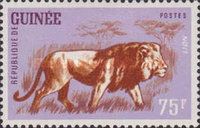 Lion (Panthera leo)
