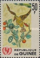 Bird in a tree
