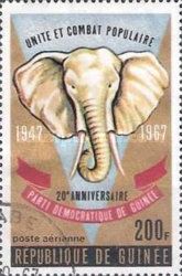 African Elephant (Loxodonta africana) - Head