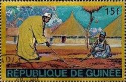 Guinean forest region