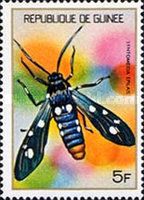 Polka-dot Wasp Moth (Syntomeida epilais)