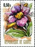 Clappertonia ficifolia