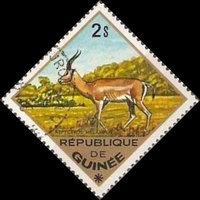 Impala (Aepyceros melampus)
