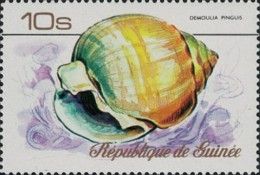 Obtuse Demoulia (Demoulia pinguis)
