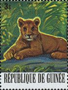 Lion (Panthera leo)