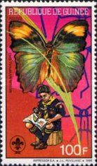 Widespread Forester (Euphaedra medon)