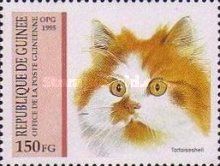 Tortoiseshell (Felis silvestris catus)