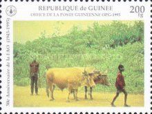 People and cows