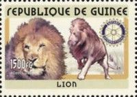 Lion