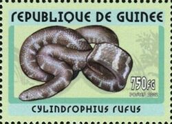 Snakes