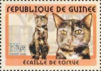 Tortoiseshell