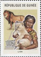 Scout and Lions