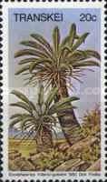 Encephalartos friderci-guilielmi