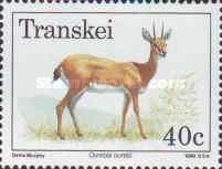Southern Oribi (Ourebia ourebi)