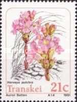Parasitic plants: Harveya pulchra