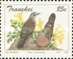 Emerald-spotted Wood Dove (Turtur chalcospilos)